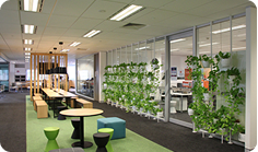 img_ilsc_sydney_campus