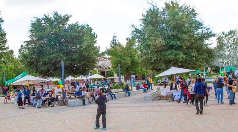colleges-of-contra-costa-student-life